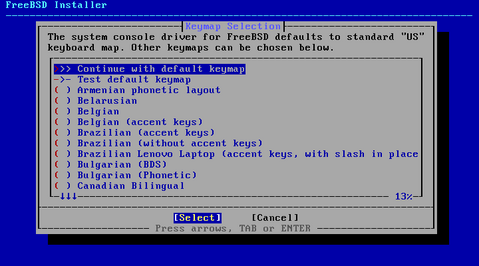 The system installer on Jesse's computer