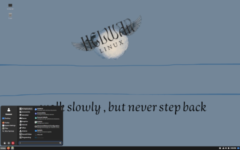 Running the Cinnamon desktop